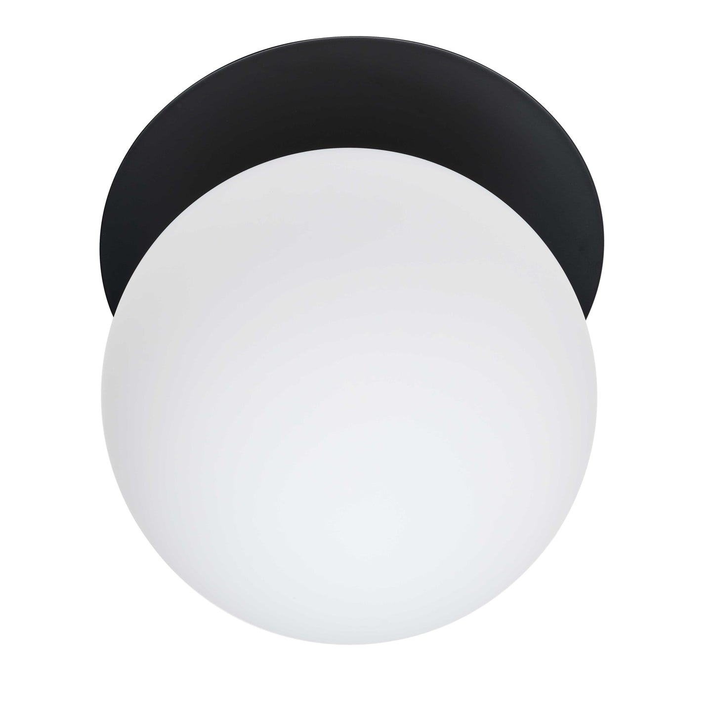 Murale Dainolite — BUR-131W