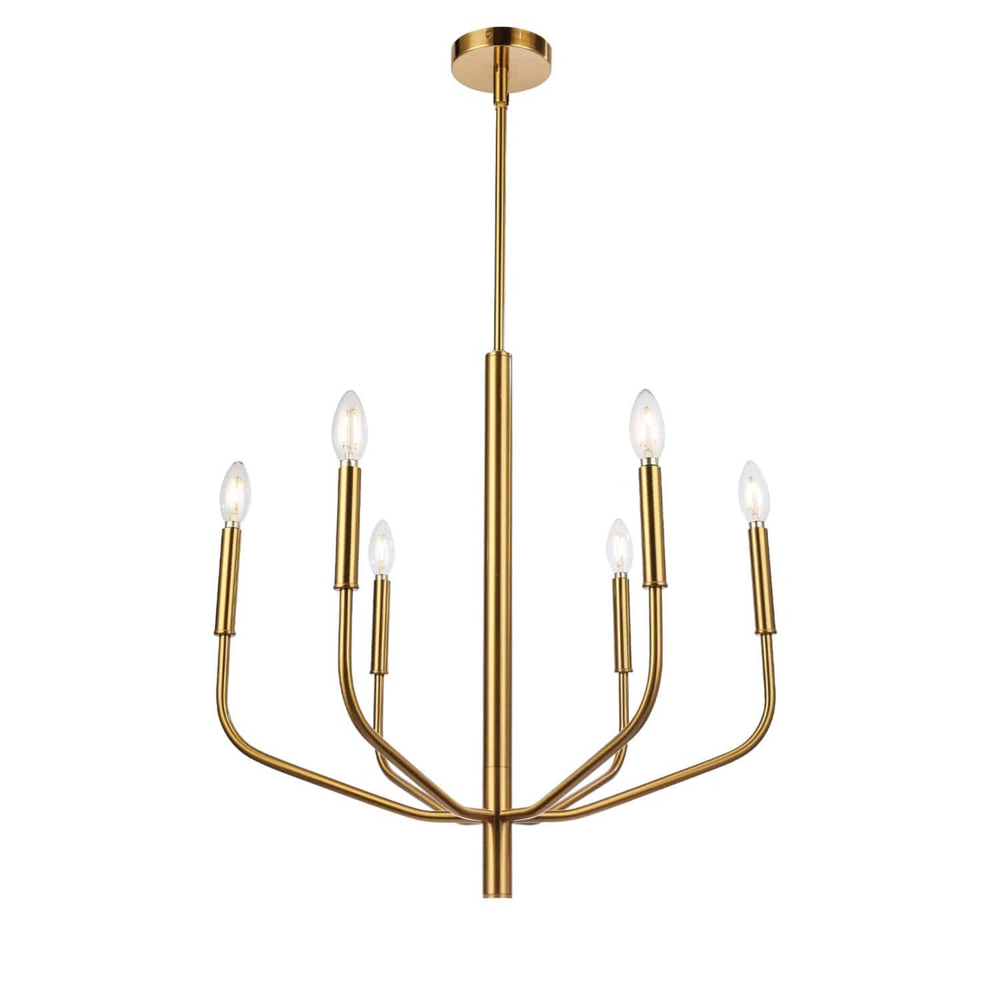 Lustre Dainolite — ELN-246C