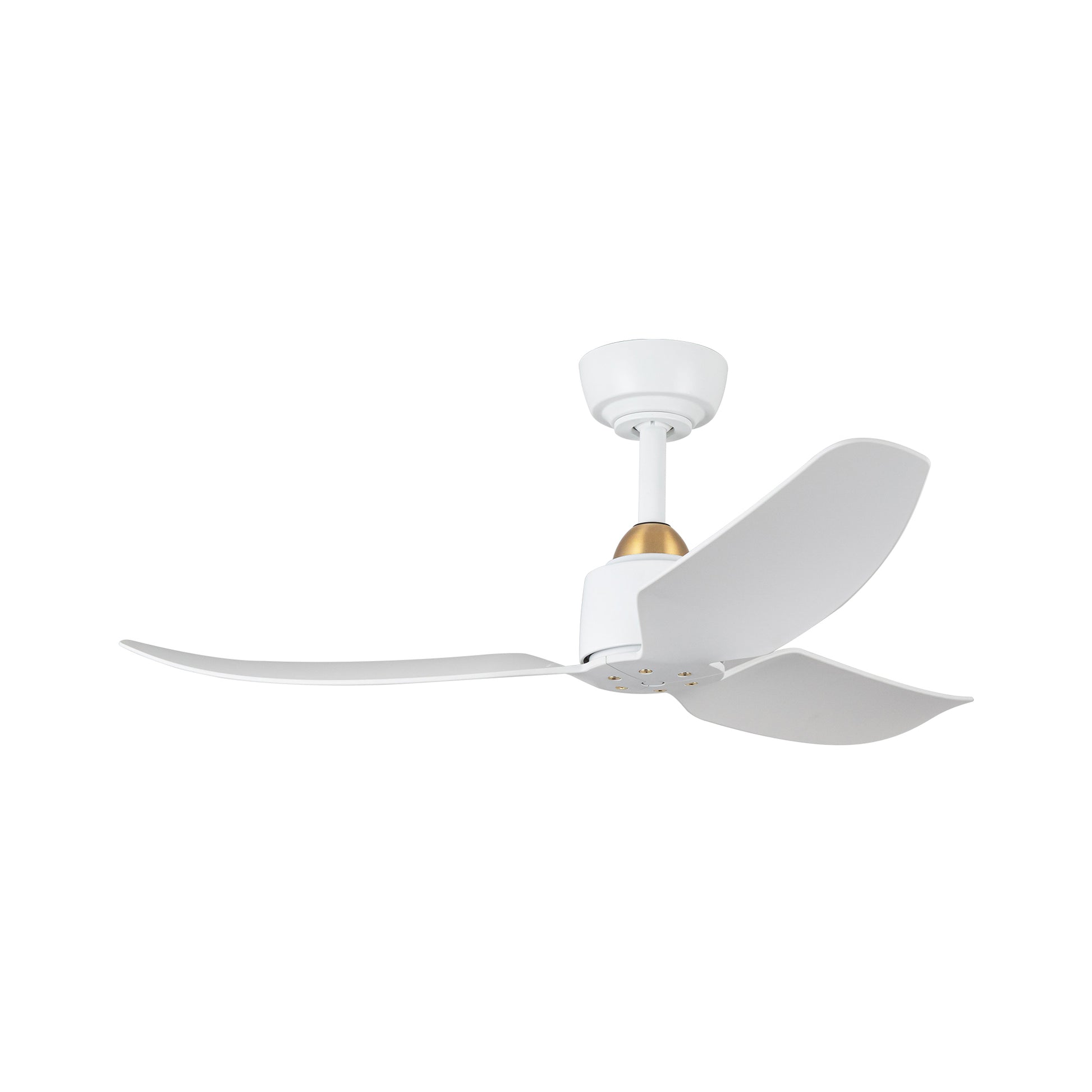 Ventilateur de plafond Hugo