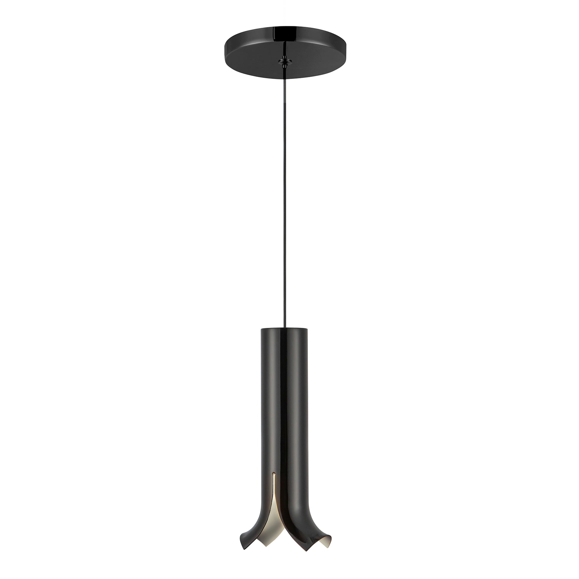 Suspension Husk