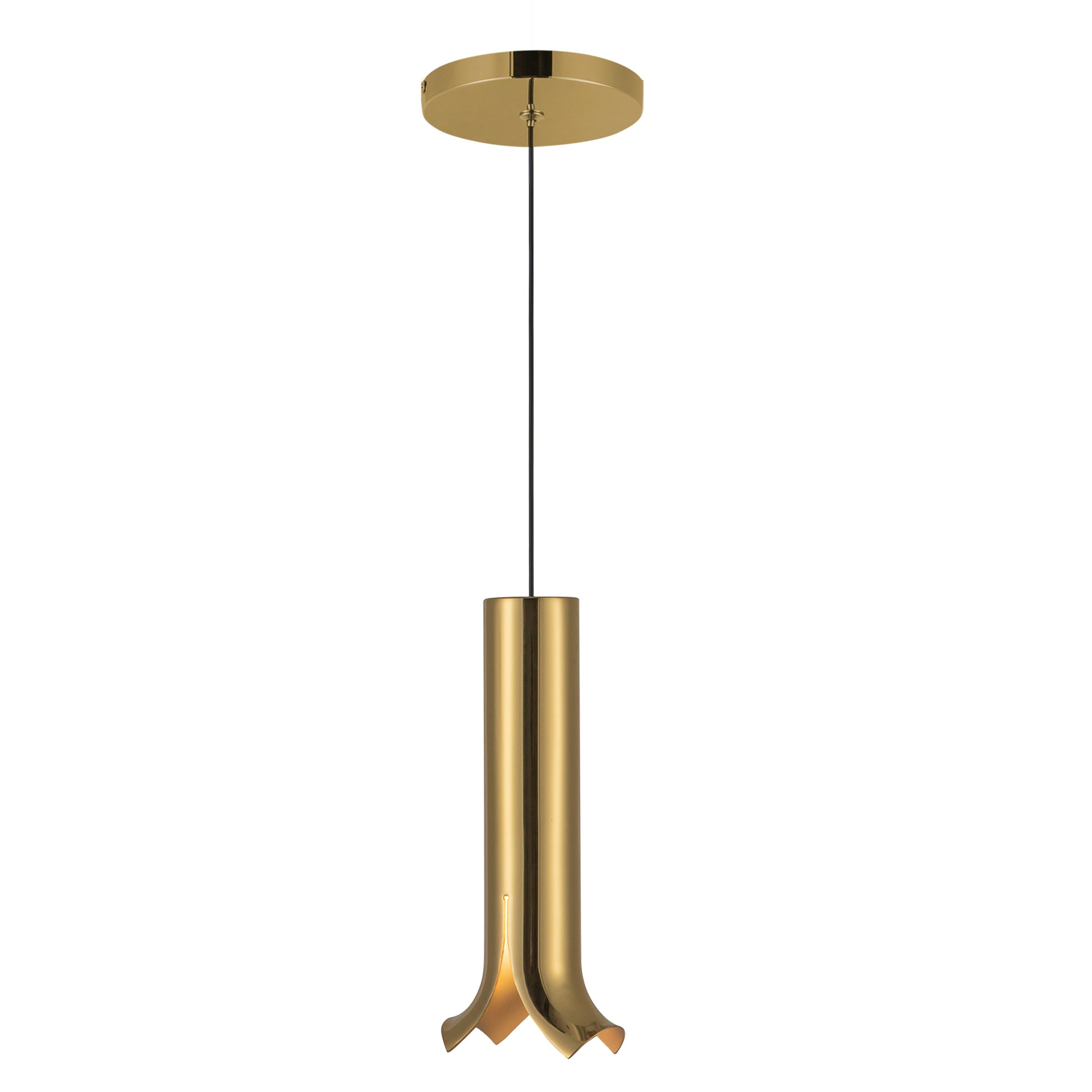 Suspension Husk