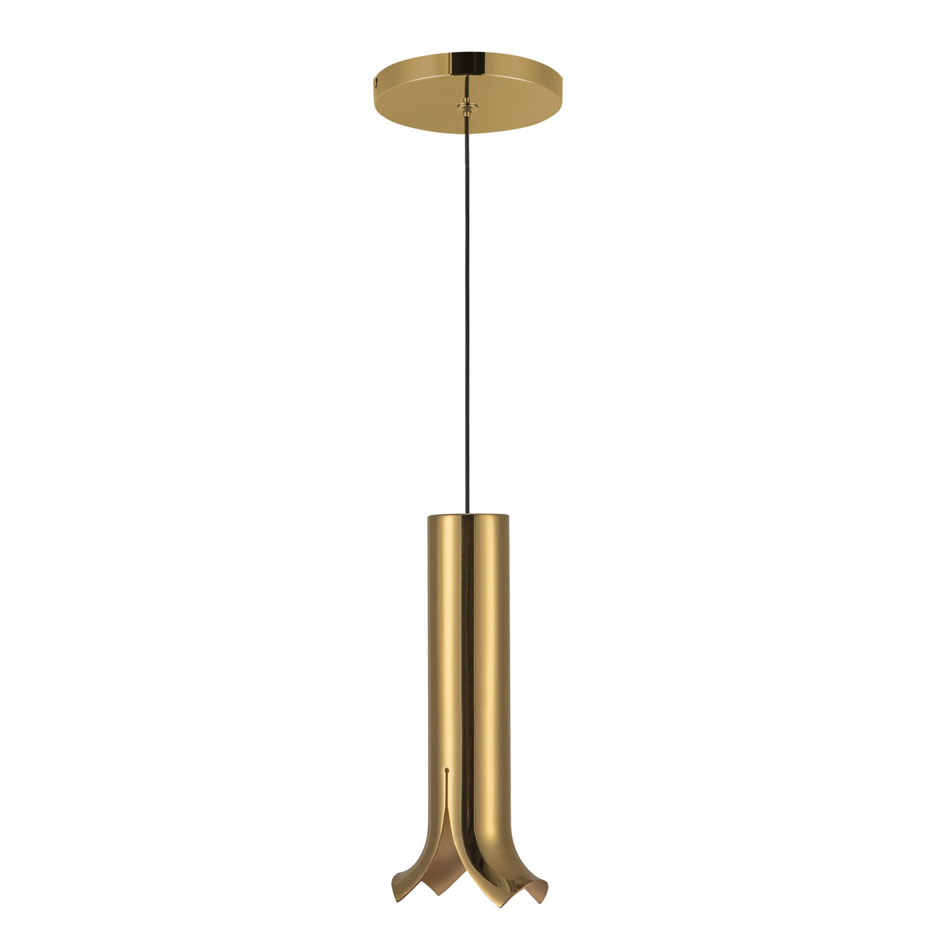 Suspension Husk
