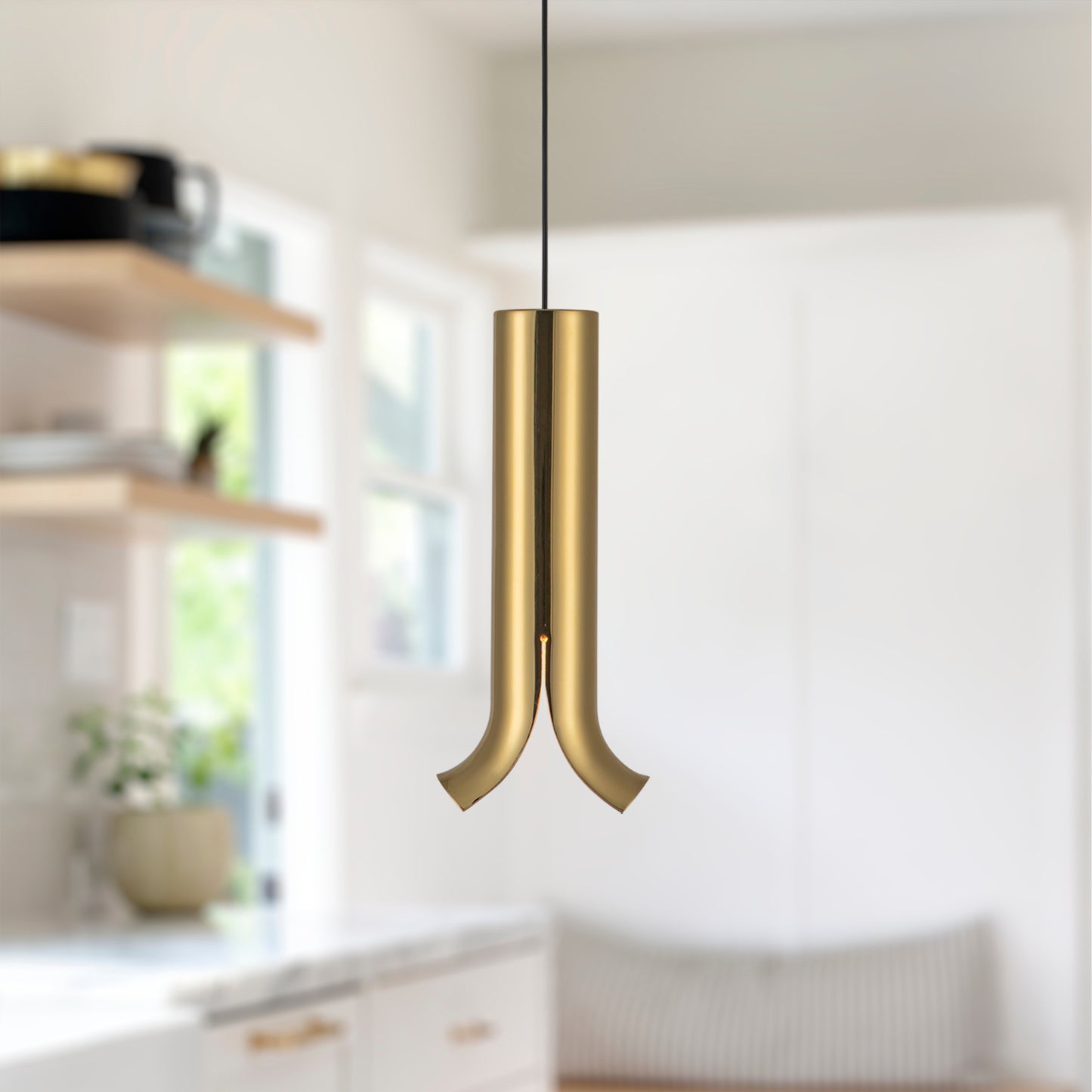 Suspension Husk