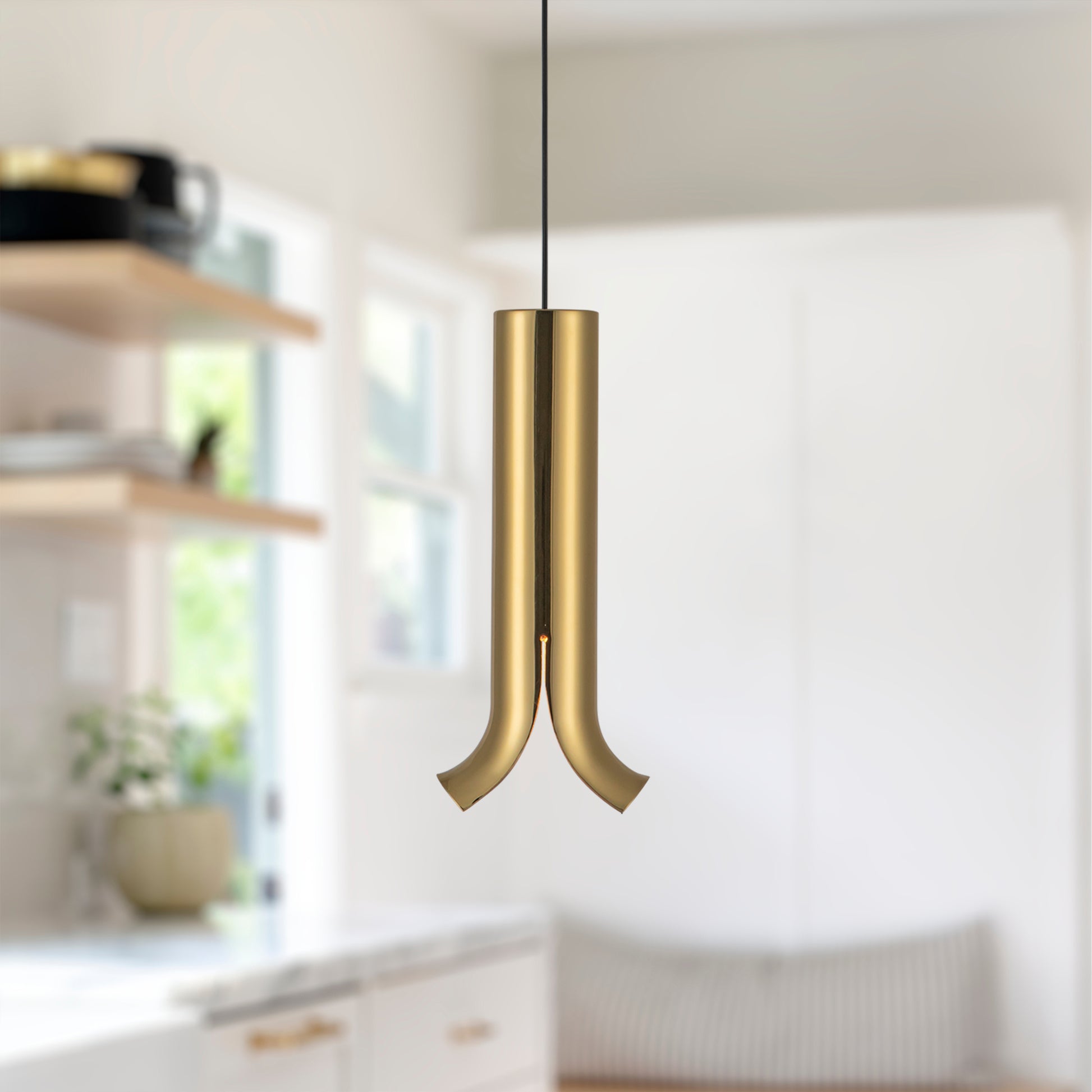 Suspension Husk