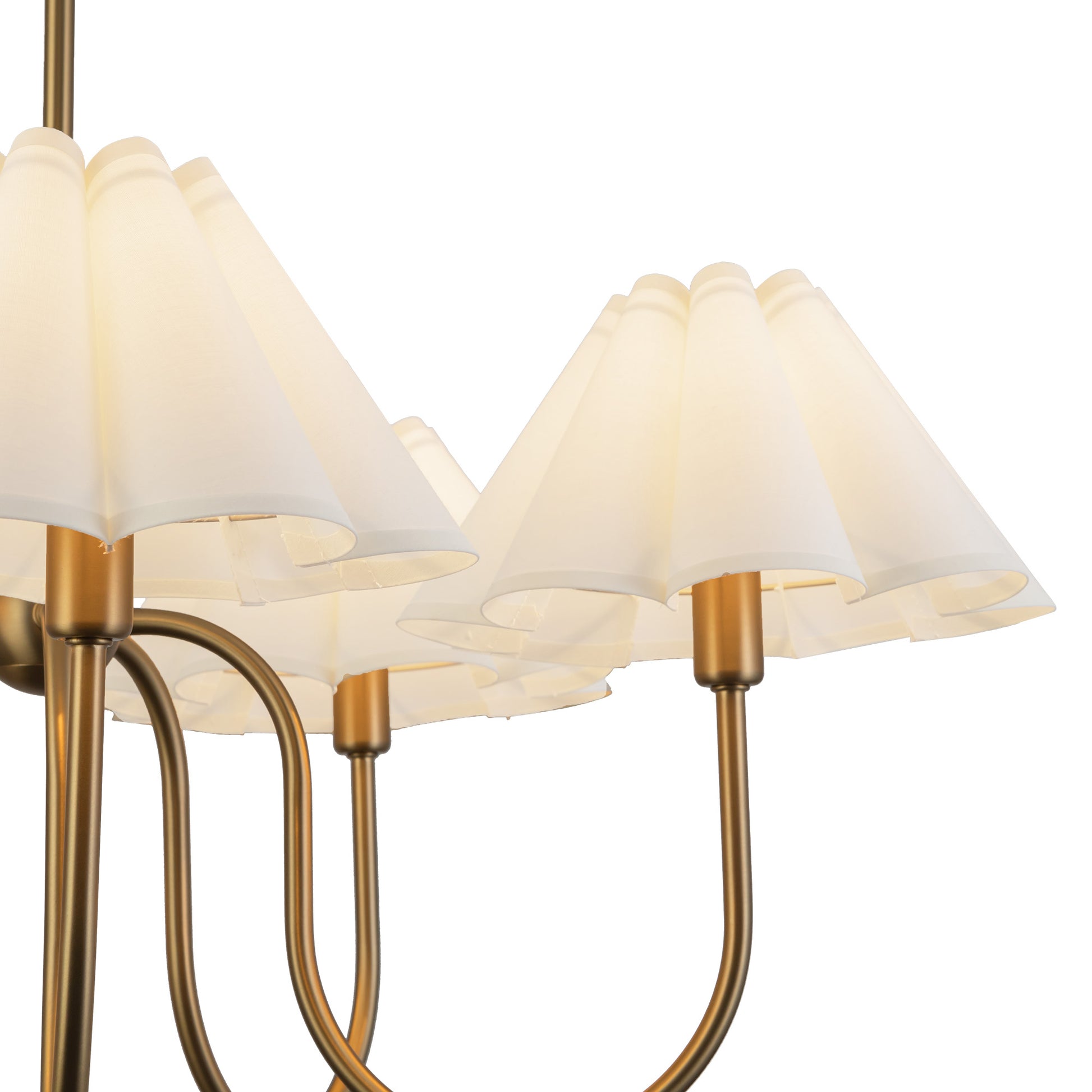 Lustre Rosemary