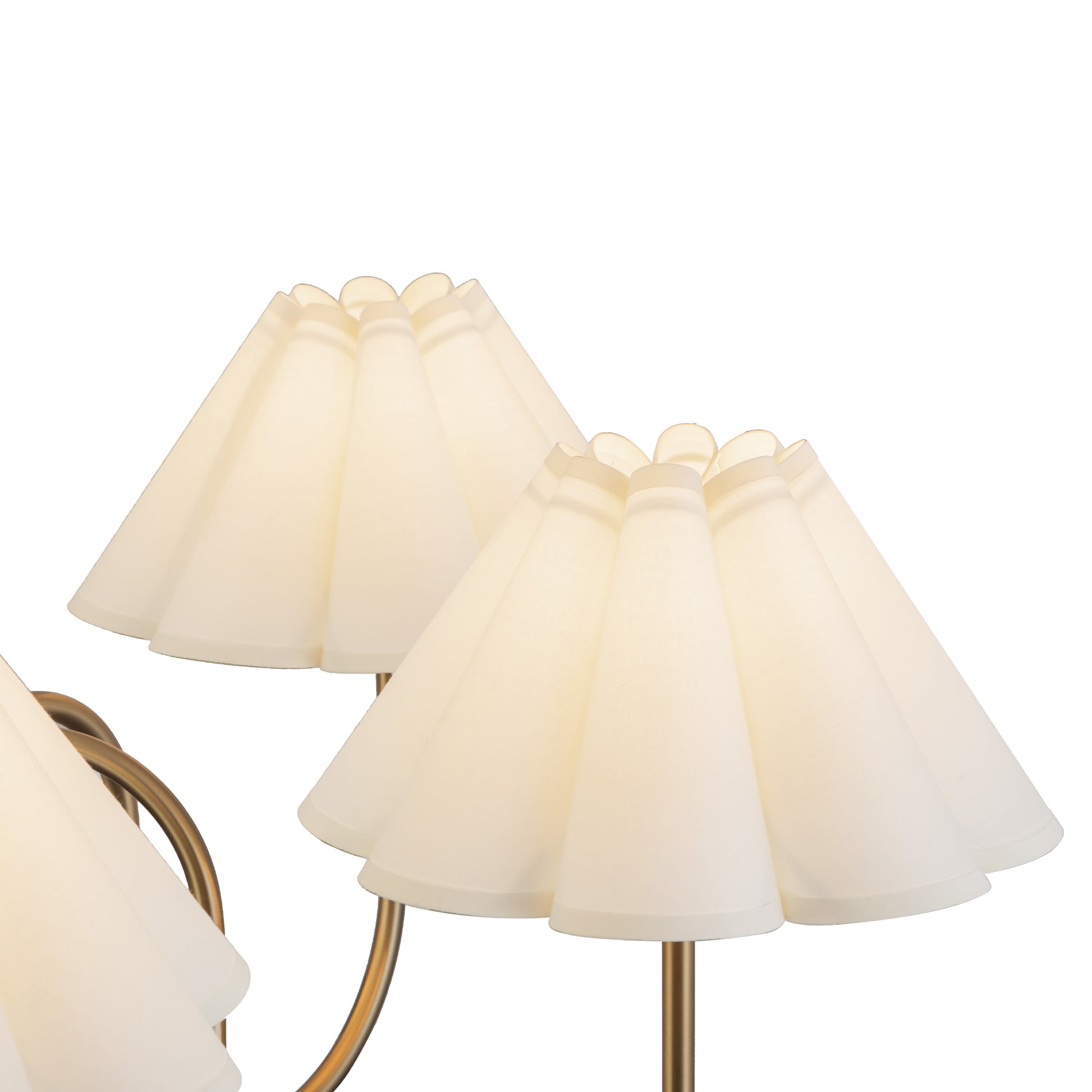 Lustre Rosemary