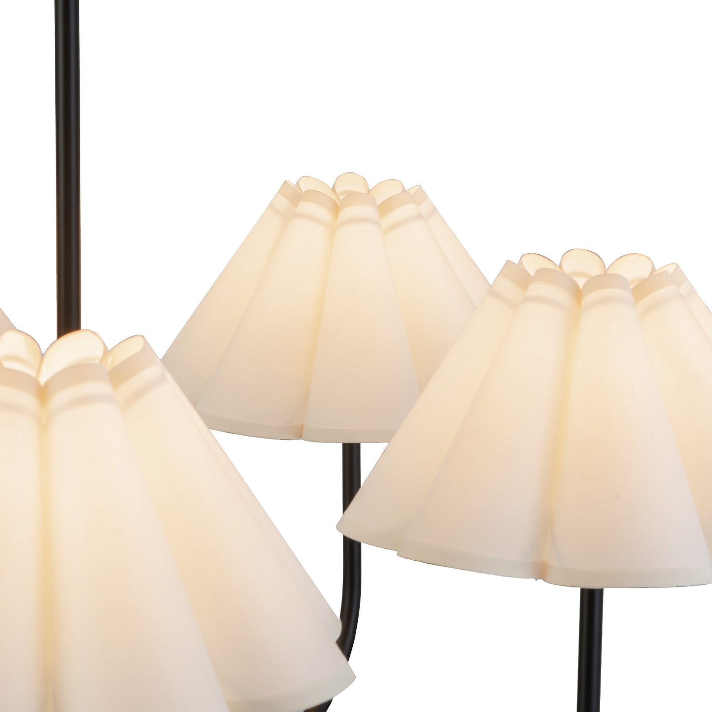 Lustre Rosemary