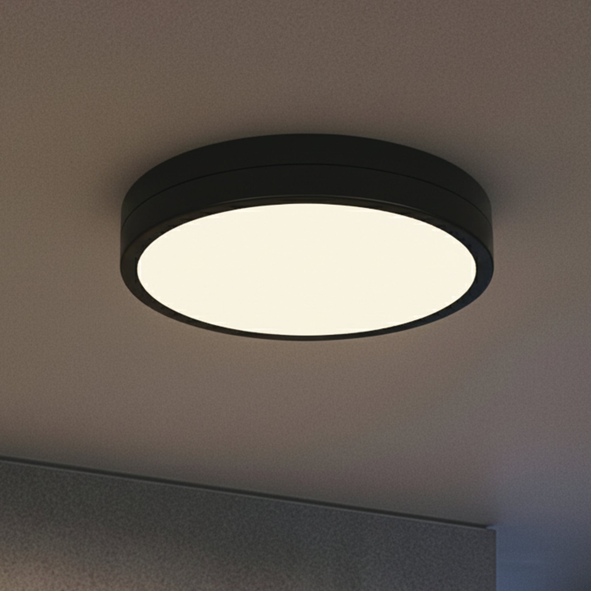 Luminaire CL-25F-12-BK-C