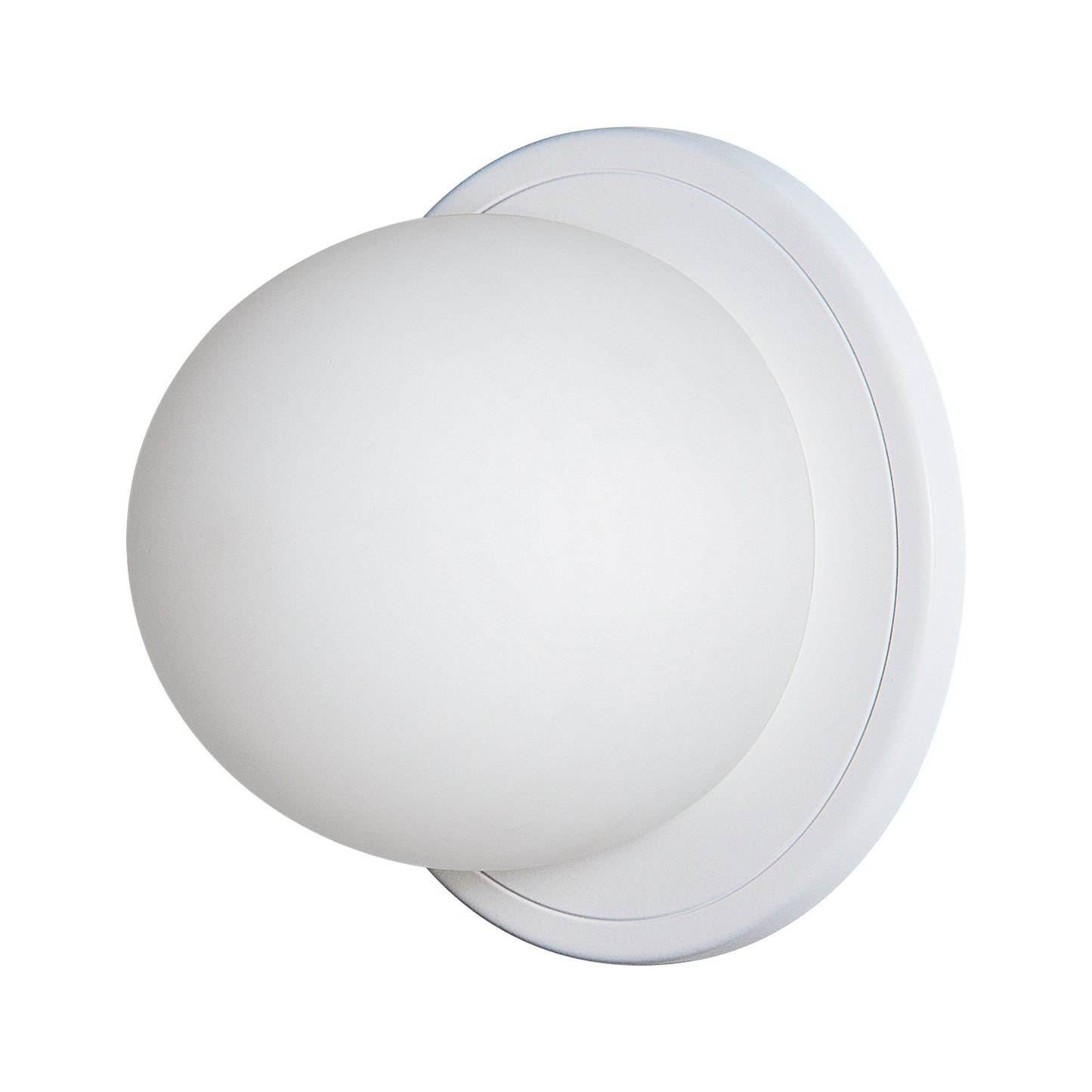 Applique murale Raquel Wall Sconces