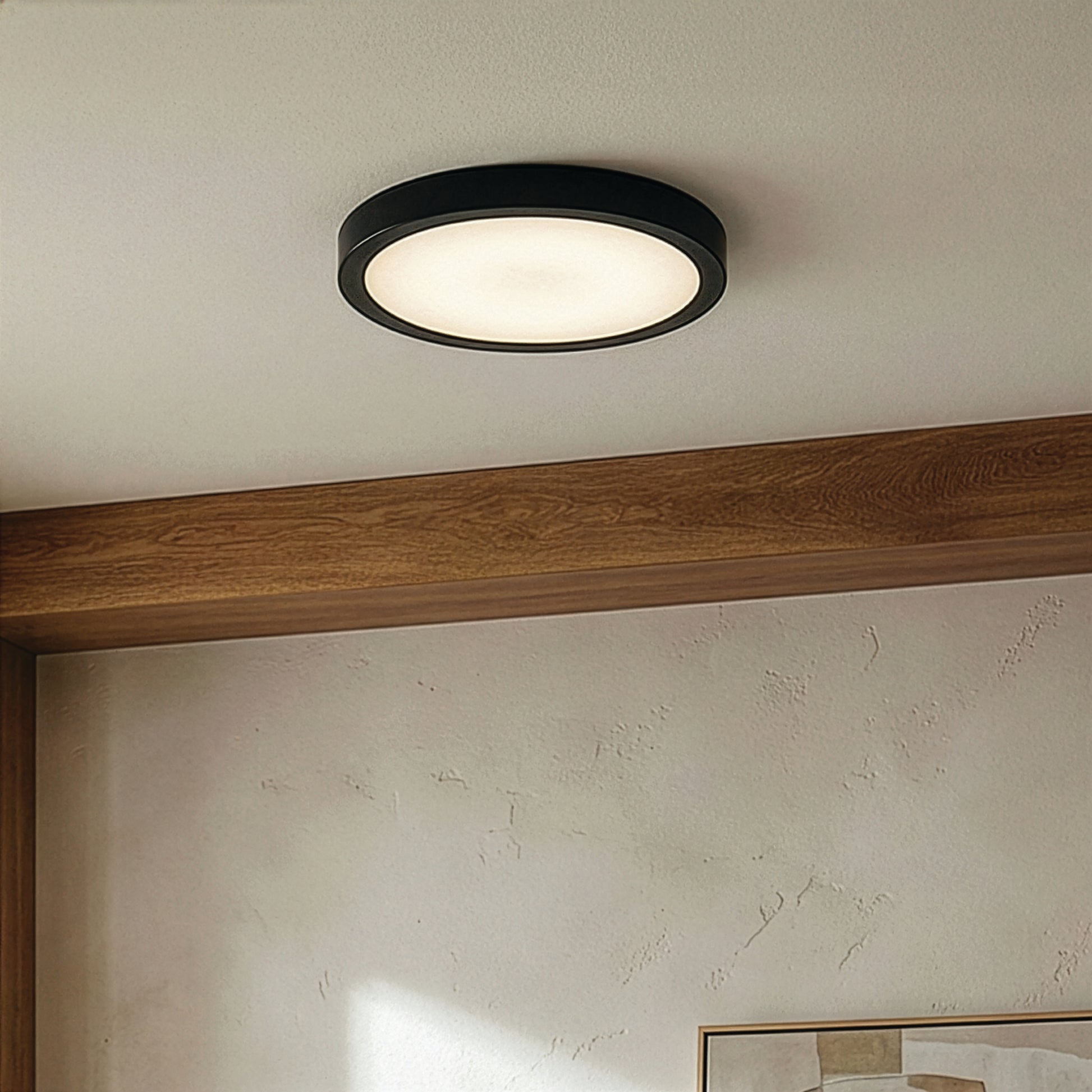 Luminaire DL-11F-25DCW-BK-C