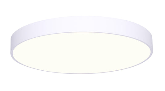 Luminaire DL-14F-30WS-WH-C