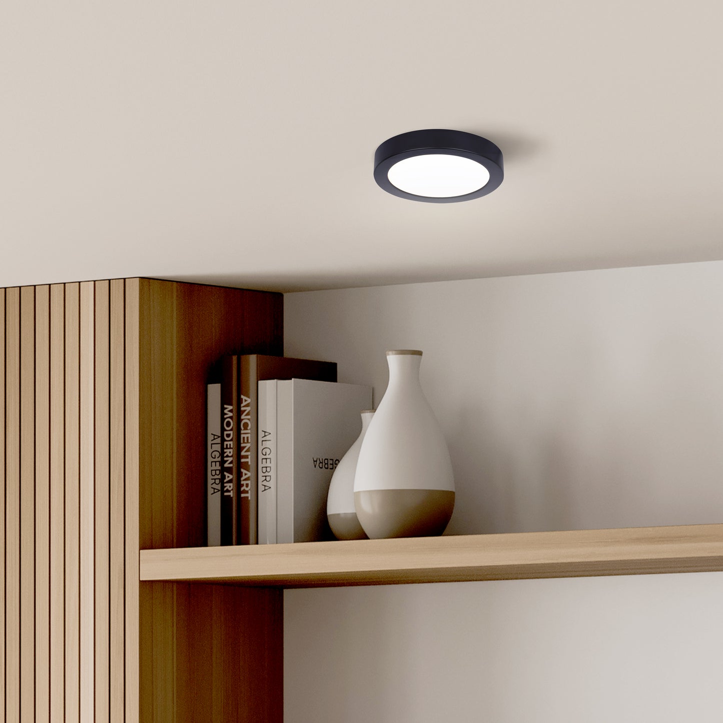 Luminaire DL-5F-10S-BK-C