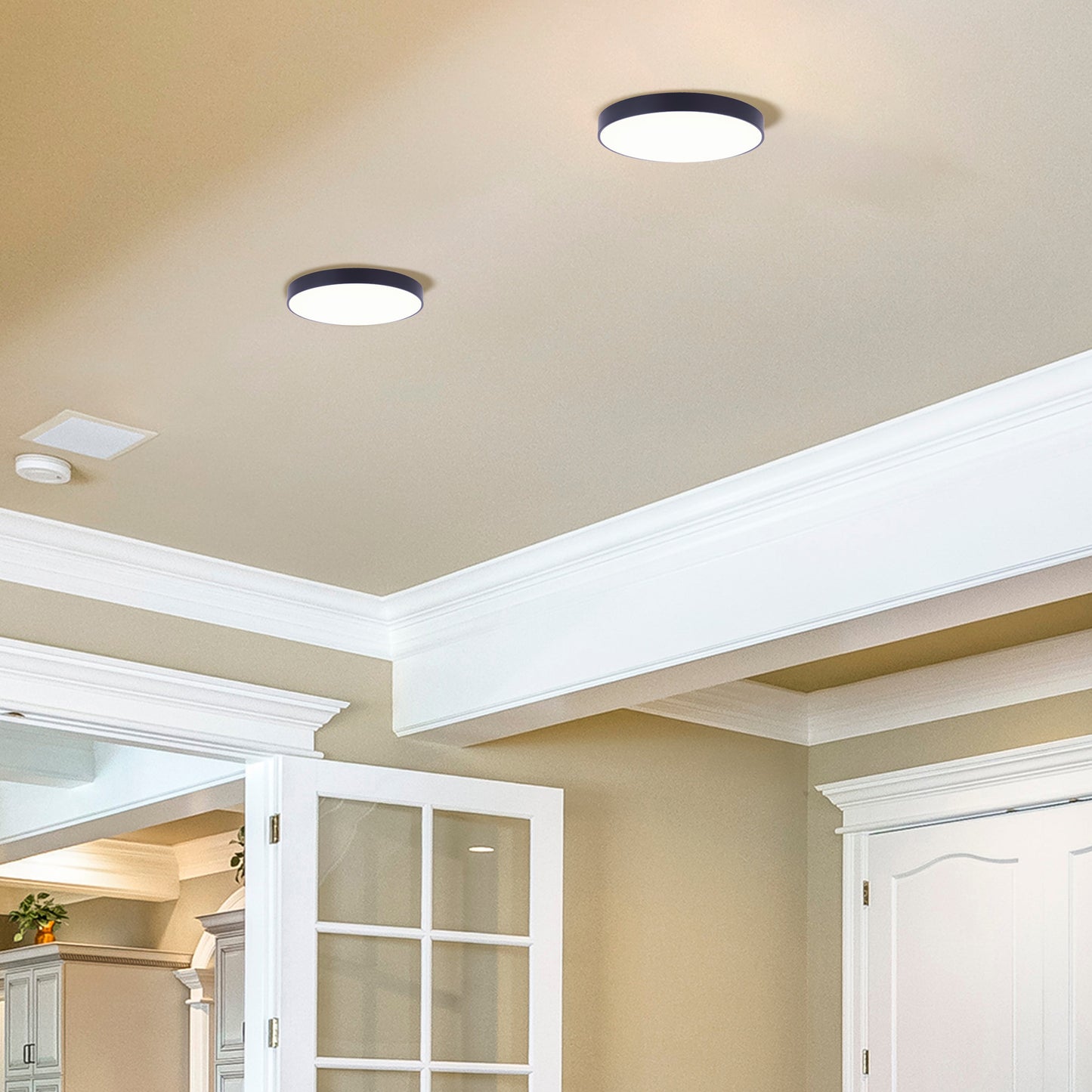 Luminaire 8.1Inch Black Color