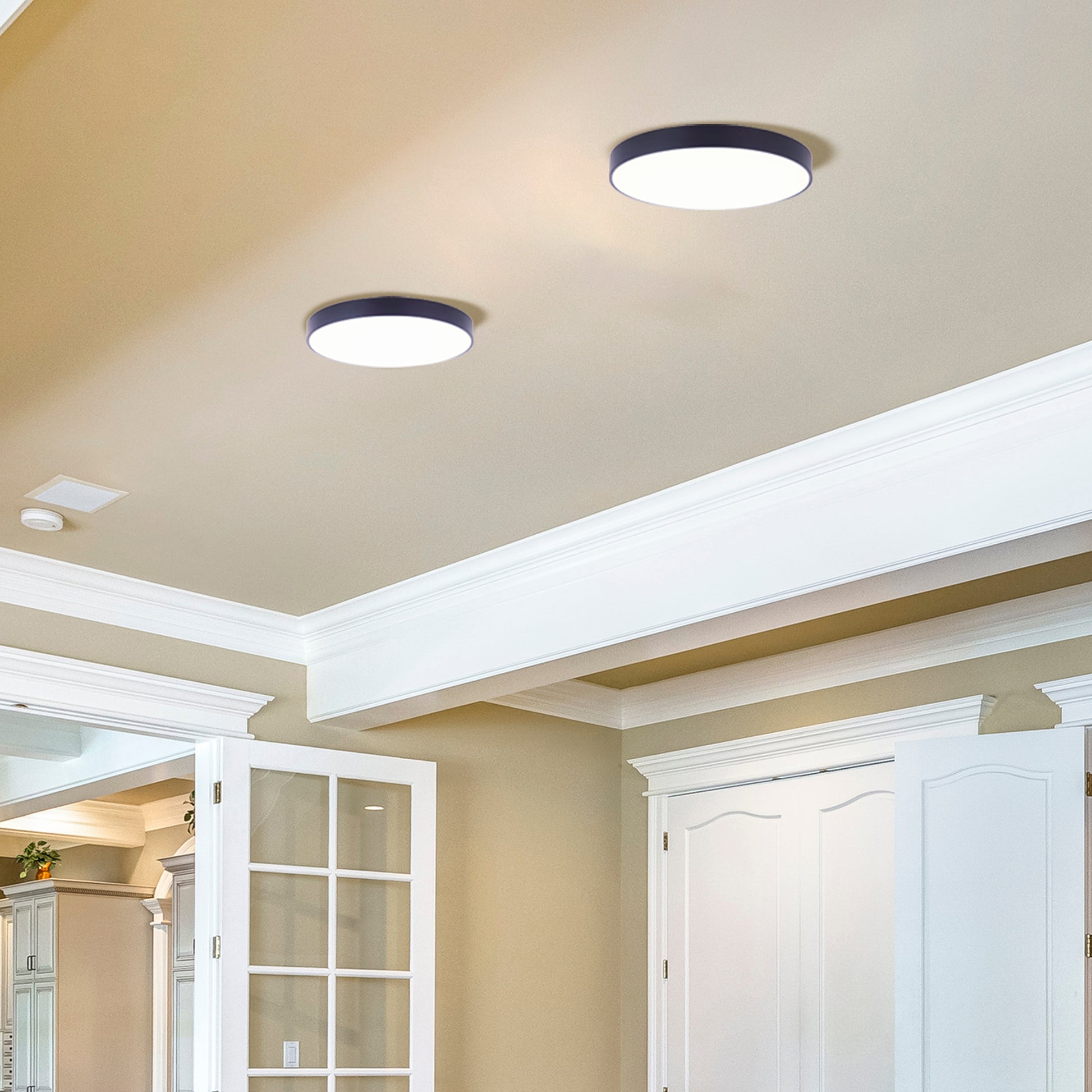 Luminaire DL-12F-25WS-BK-C