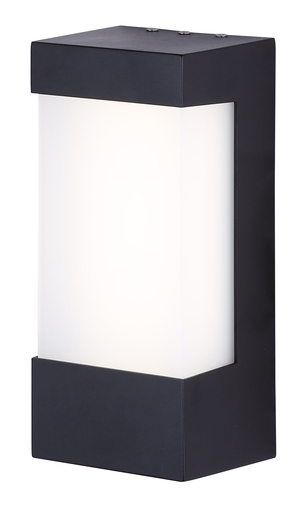 Luminaire extérieur DEL 500 Lumens
